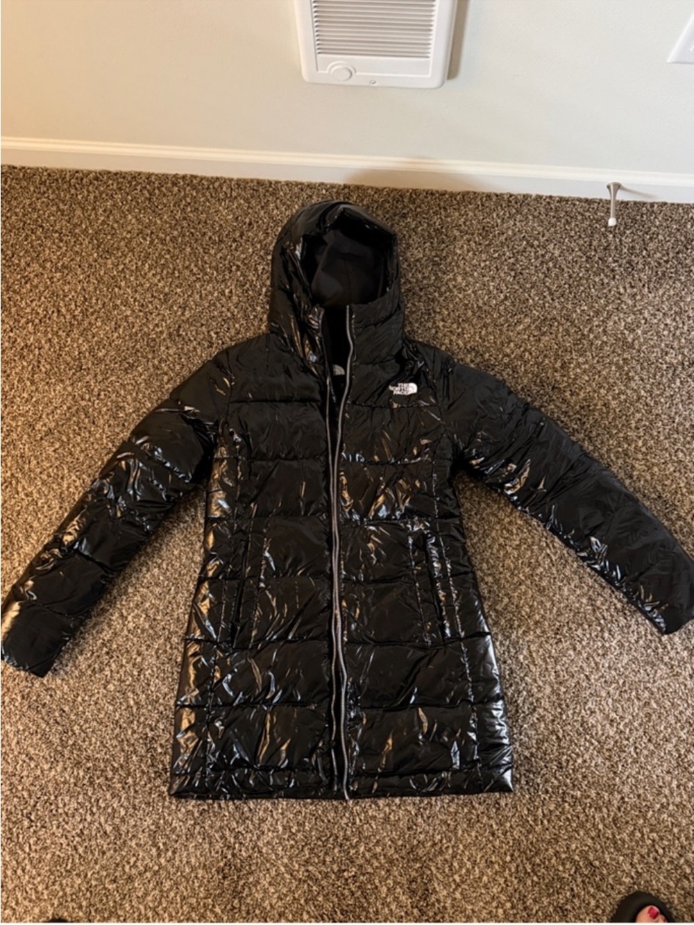 The North Face Black Shiny Puffer Jacket